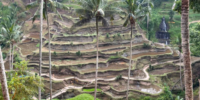 Comfort Ubud ve Bali Turu THY ile 6 Gece Ekstra Turlar Dahil
