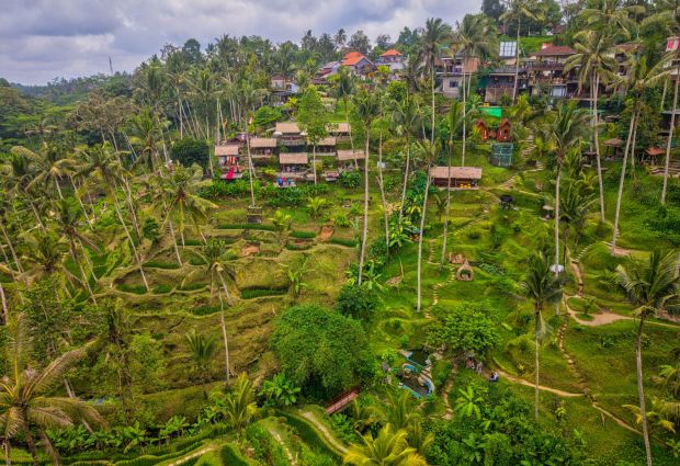 Comfort Ubud ve Bali Turu THY ile 6 Gece Ekstra Turlar Dahil