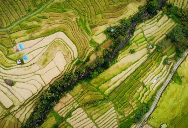 Rüya Ada Bali - Ubud Turu THY ile 7 Gece Ramazan Bayramı Özel Mart 2027