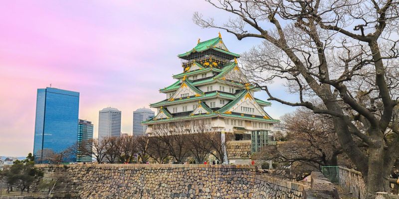 Comfort Japonya ve Kore Turu THY ile 8 Gece Ekstra Turlar ve Çay Seremonisi Dahil Koyo Dönemi