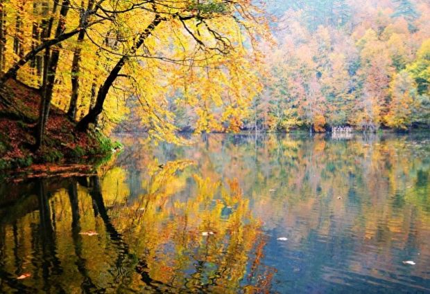 İkonik Yedigöller Turu Günübirlik İstanbul Çıkışlı