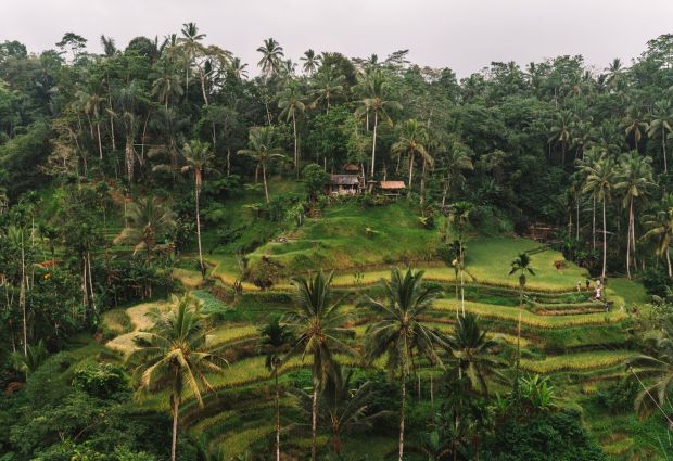 Görkemli Tropikal Ada Bali ve Ubud Singapur ile Turu Singapore Airlines ile 5 Gece Yaz Dönemi