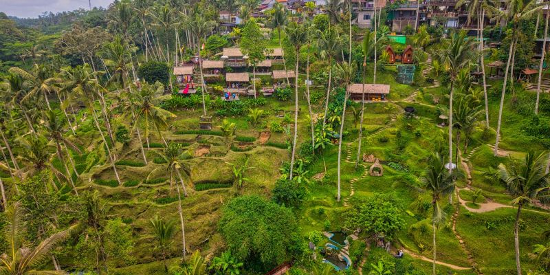 Görkemli Tropikal Ada Bali ve Ubud Singapur ile Turu Singapore Airlines ile 5 Gece Yaz Dönemi