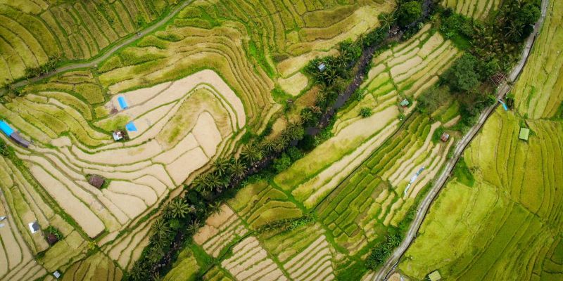Görkemli Tropikal Ada Bali ve Ubud Singapur ile Turu Singapore Airlines ile 5 Gece Yaz Dönemi