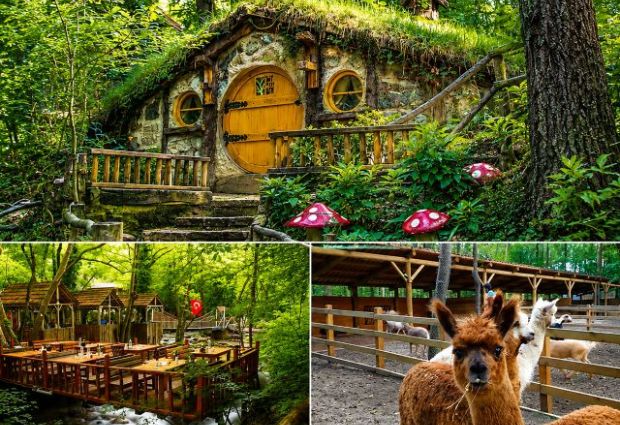 İkonik Masukiye Cam Teras Ormanya Hobbit Evleri Turu Günübirlik İstanbul Çıkışlı