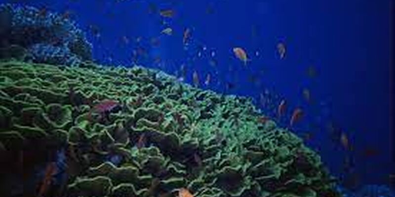 Mısır Harikaları Turu