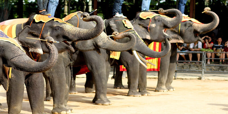 Bangkok - Pattaya - Phuket Turu (7 Gece 9 Gün) Emirates Havayolları