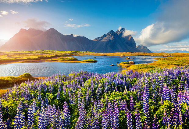 Gronland & Izlanda & Faroe Adaları & Danimarka Turu 2025 Dönemi | THY İle