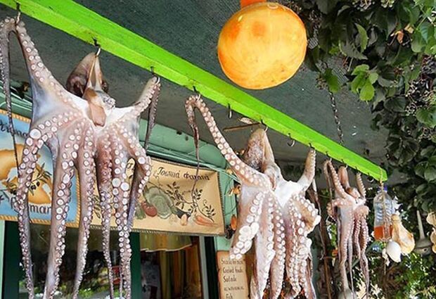 Ayvalık Limanı Hareketli Midilli Turu