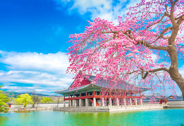 Güney Kore ve Japonya Turu | Emirates Havayolları ile 7 Gece Konaklama