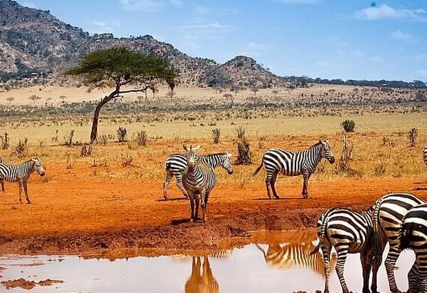 Kenya Safari Turu (Air Arabia Havayolları ile) (Her Pazar Hareket)