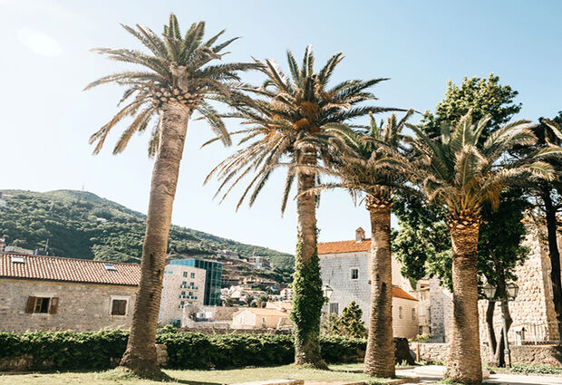 Budva Rotası Turu | Air Montenegro 3 Gece Konaklama