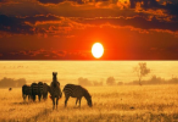 Büyük Afrika 4 Ülke Turu (Türk Havayolları ile) (11 Gece 12 Gün)