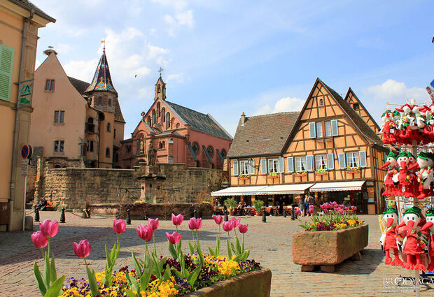 Sömestr Dönemi Elit Alsace ve Colmar Turu (BSL-STR) | Ekstra Turlar Dahil THY İle