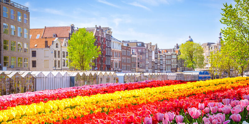 Sömestr Dönemi Elit Benelux Paris Turu | Ekstra Turlar Dahil THY ile