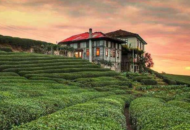 Karadeniz Rüyası ve Batum Turu 5 Gece Otel Konaklaması