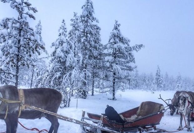 Dolu Dolu Lapland Beyaz Rotalar Turu - 3 Gece
