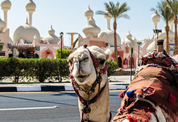Ramazan Bayramı Özel Sharm El Sheikh Turu | THY ile 4 Gece Herşey Dahil Oteller