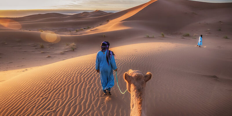 Görkemli Fas Krallığı ve Mistik Şehirler Turu | THY ile 4 Gece Özel Dönemler