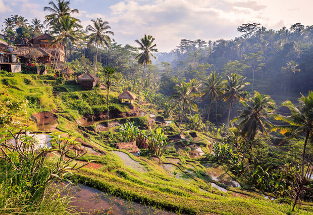 Bali (EK) (2025) (DPS-DPS)