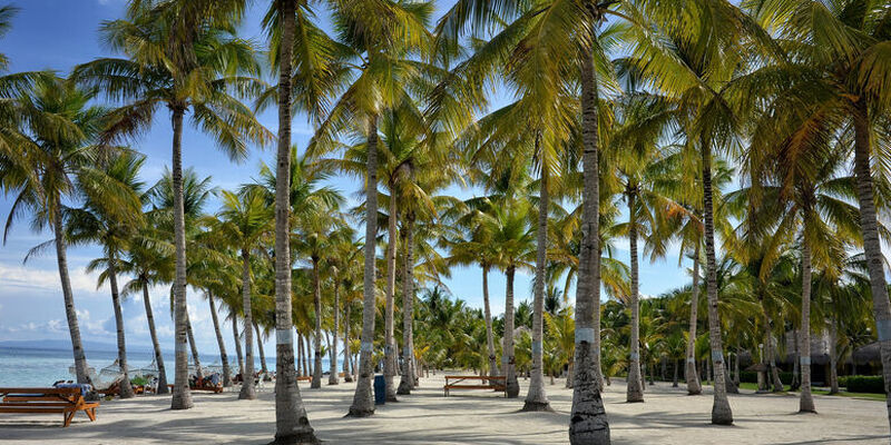 Taipei Taiwan Filipinler Turu (THY ile) (12 Gece 13 Gün)