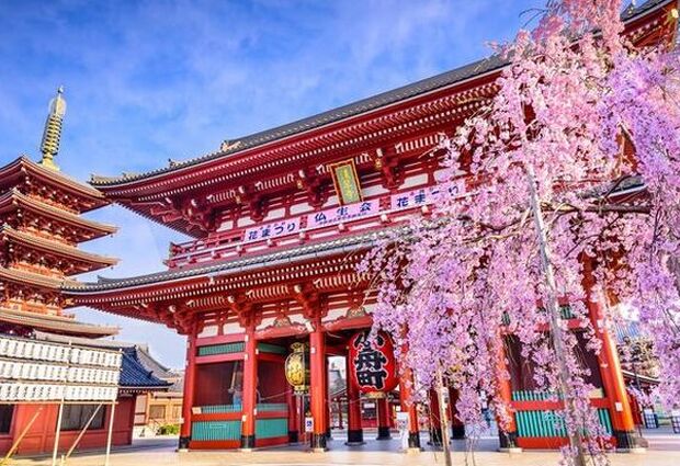 Elegant Japonya THY ile 7 Gece (KIX-NRT)