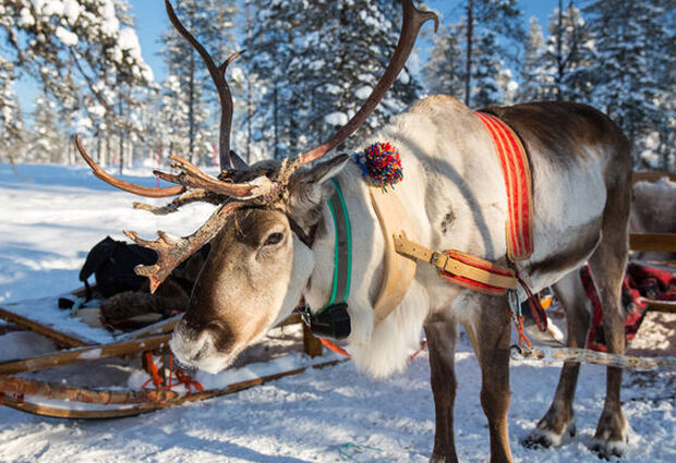Ankara Çıkışlı Dolu Dolu Lapland Çifte Yılbaşı