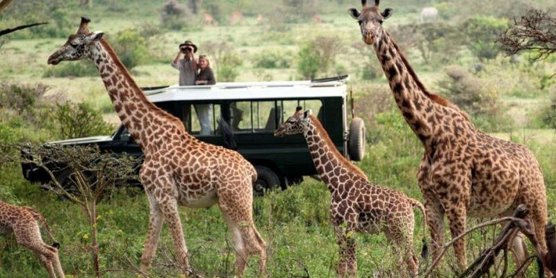 Kenya Safari Turu (Air Arabia Havayolları ile) (Her Pazar Hareket)