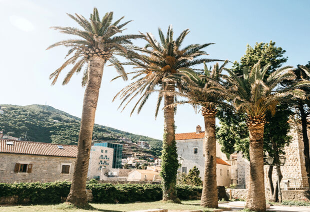 Budva Turu Rotası (4 Gece 5 Gün) ( TGD-TGD )