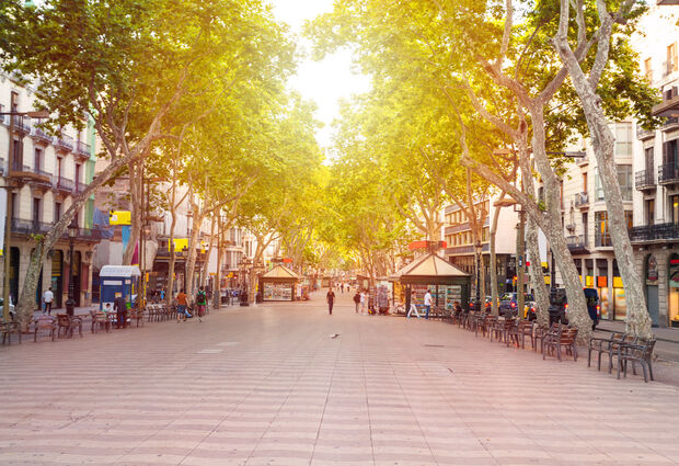 Barselona Turu (Pegasus İle) (BCN-BCN) V2