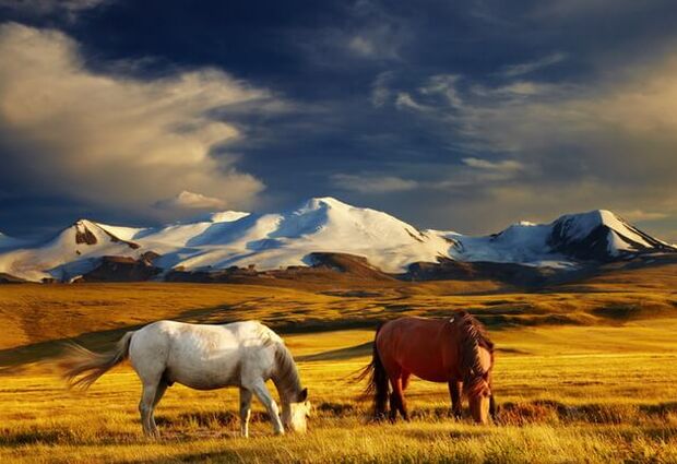 Moğolistan Turu Türk Havayolları İle 9 Gün 