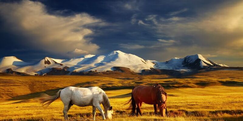 Moğolistan Turu Türk Havayolları İle 9 Gün 