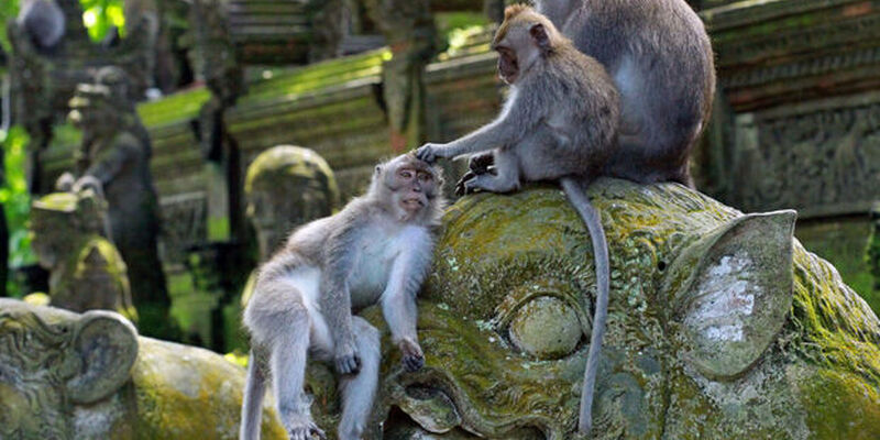 Bali Turu (Türk Hava Yolları ile) (6 Gece)