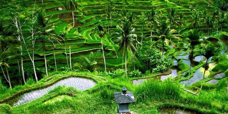 Bali Turu (Türk Hava Yolları ile) (6 Gece)