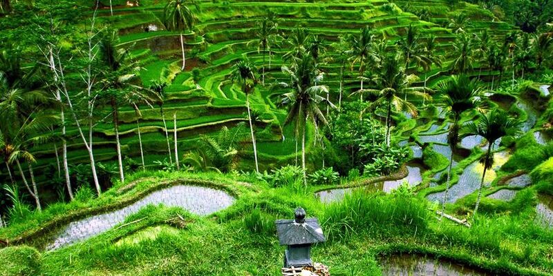 Fırsat Bali & Ubud Turu (Emirates ile)