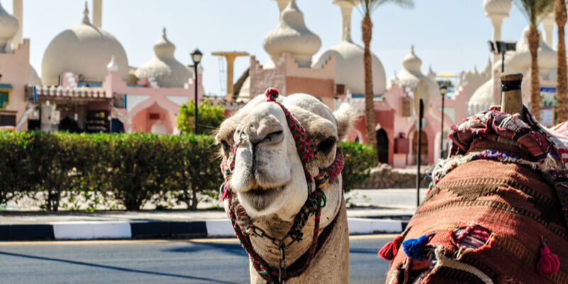 Promosyon Sharm El Sheikh Turu (Ajet Havayolları ile 5 Gece) Otelden Erken Çıkışlı