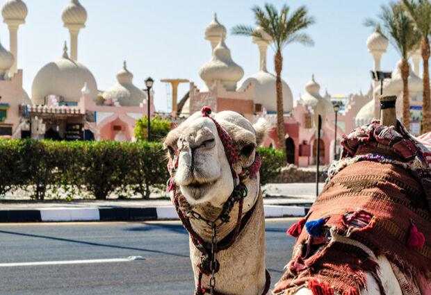 Promosyon Sharm El Sheikh Turu (Ajet Havayolları ile 5 Gece) Otelden Geç Çıkışlı