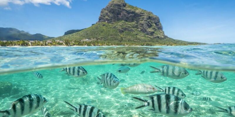 Mauritius Turu (Türk Hava Yolları İle) (6 Gece 9 Gün) (31 Mayıs Hareketli)