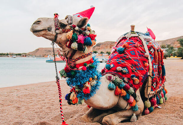 Sharm El Sheikh Turu Yılbaşı Özel Türk Havayolları ile 5 Gece 6 Gün