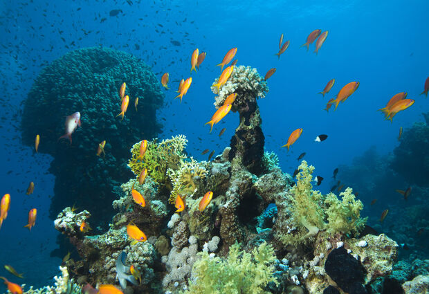 İstanbul Hareketli Ajet ile Sharm El Sheikh Turu (3 Gece)