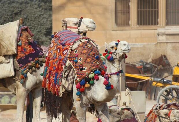 Piramitler Gölgesinde Mısır & Kahire Rotası Turu - V2