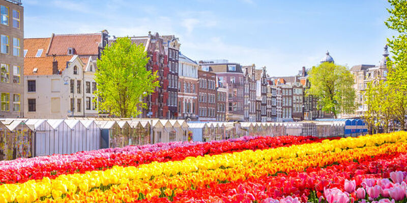 Yılbaşı Özel Hollanda & Belçika & Fransa Rotası Turu