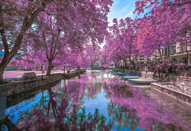 Antalya’dan Bernina Express İle Express ile Bir Avrupa Masalı Turu SunExpress Havayolları ile 4 Gece