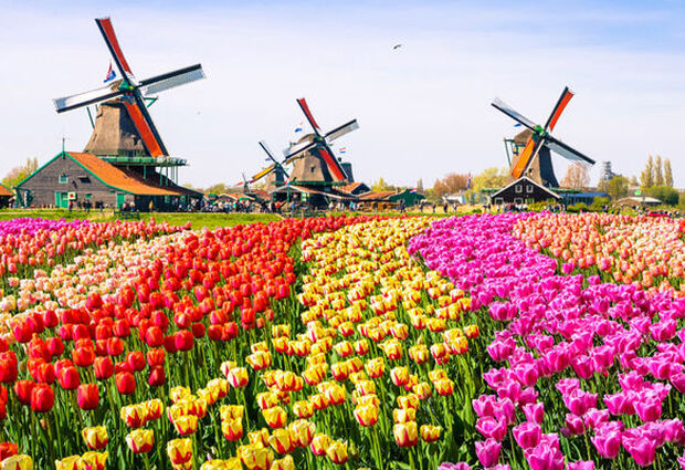 Benelüx Paris & Alsace Turu - 2026 - (CDG-CDG)