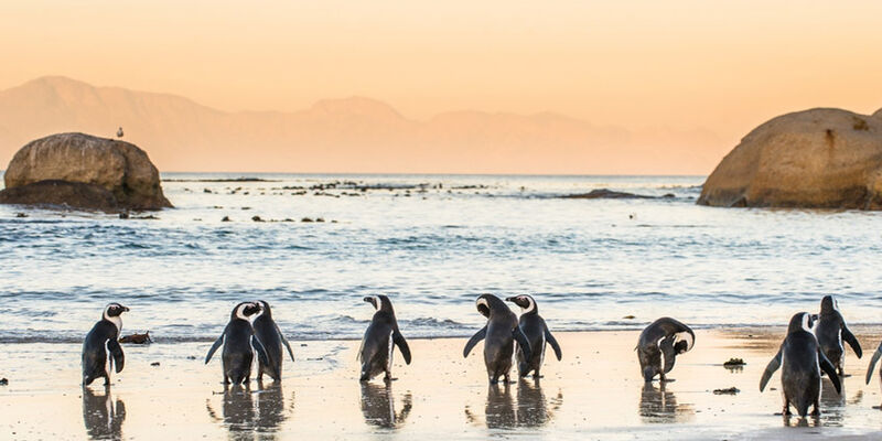 THY	ile İstanbul Çıkışlı Güney Afrika Turu - 7 Gece