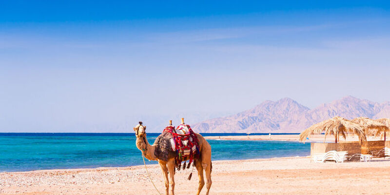 İstanbul Hareketli Ajet ile Promosyon Hurghada Turu - 4 Gece