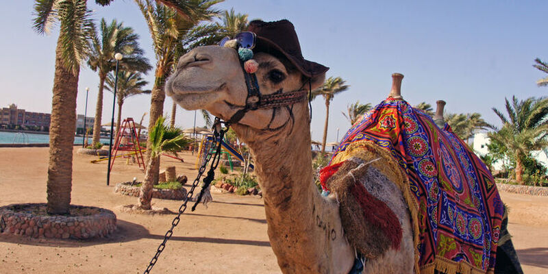 İstanbul Hareketli Ajet ile Promosyon Hurghada Turu - 4 Gece