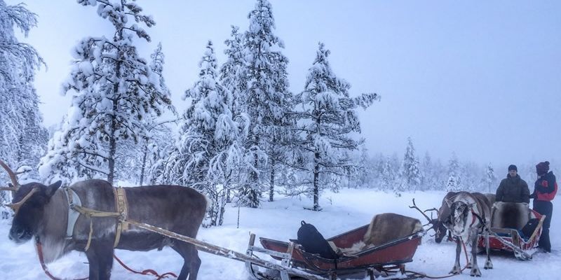 Süper Promo Lapland Turu Beyaz Rotalar - 4 Gece